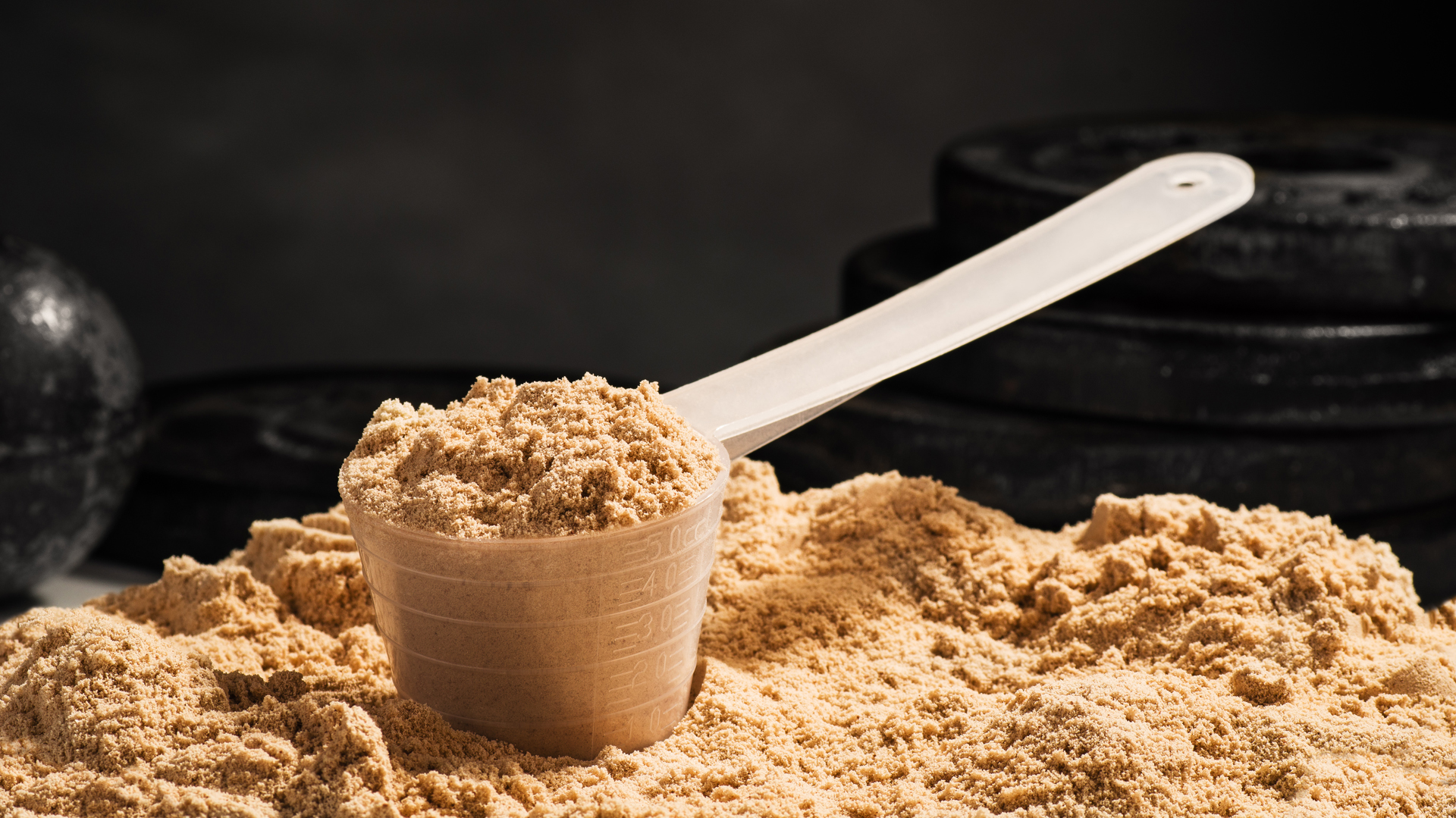scoop of whey protein on black background. chocolate flawour